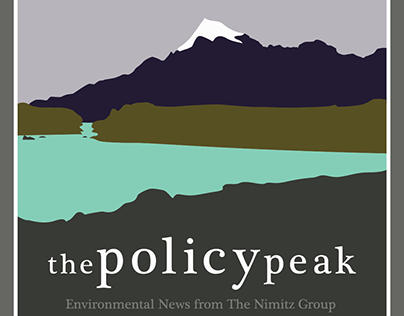 The Policy Peak Logo