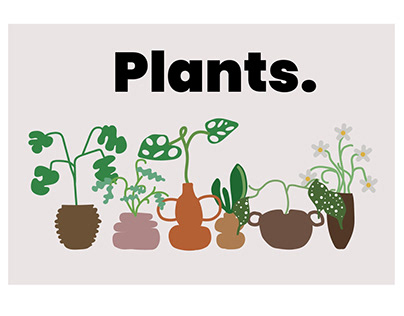 Plants Illustration Design