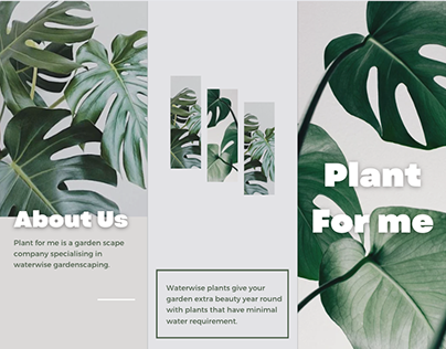 Plant For Me - logo and print design