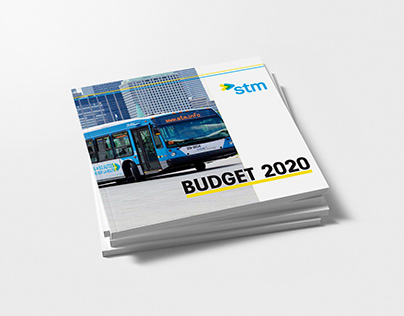 Budget STM 2020