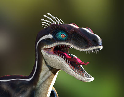 Velociraptor - Fast Concept Presentation