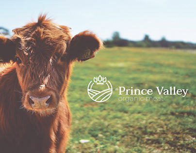 Project thumbnail - Prince Valley - Branding & Packaging Design