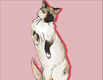 Commissioned Cat illustration