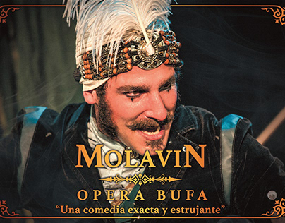 Logo + Video + Afiche + Cartel + Contenido | Molavin