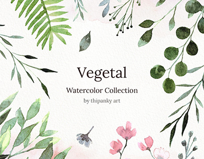 Vegetal Watercolor Collection