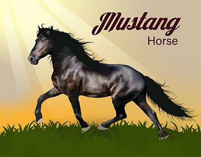 INFOGRAPHICS | Mustang Horse