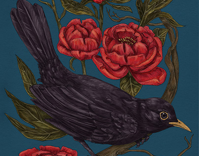 Blackbird & Peony Hand-drawn illustration