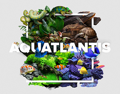 Illustration for the brand Aquatlantis