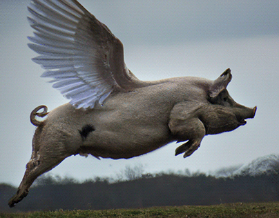 When Pigs Fly (made by AI)
