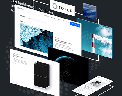 TORUS - Full Website Redesign & Implementation