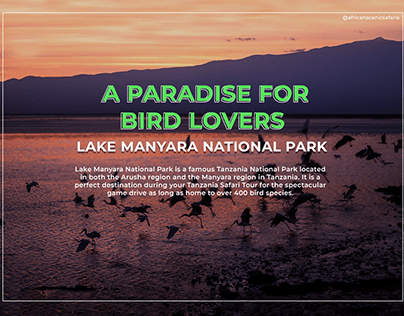 A Paradise For Bird Lovers – Lake Manyara