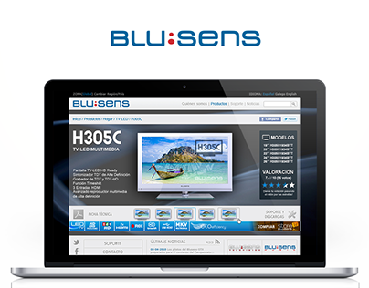 Blusens Corporation (2008 - 2012)