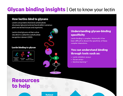 Glycan Binding Insights Infographic Flyer & Banners
