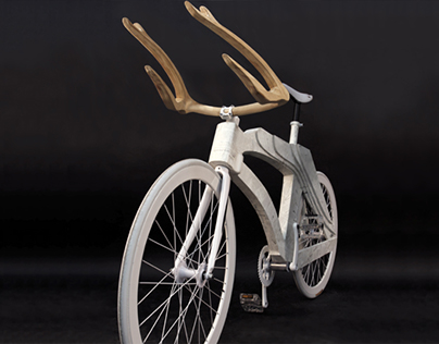 Paper&Rice - Bike