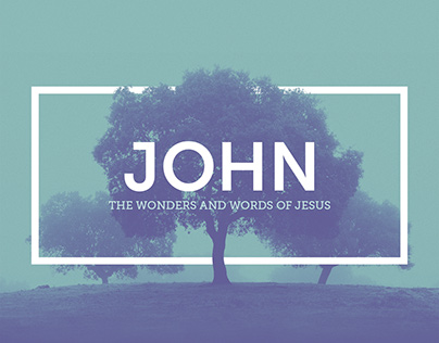 JOHN: The Wonders and Works of Jesus - Sermon Series