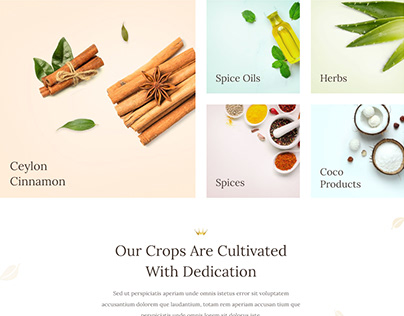 Ceylon Organics Website
