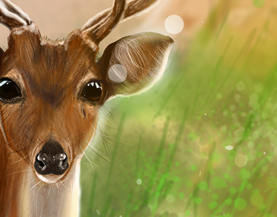Beauty Deer