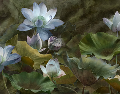 Lotus. Image for photo wallpaper. Height 300 cm