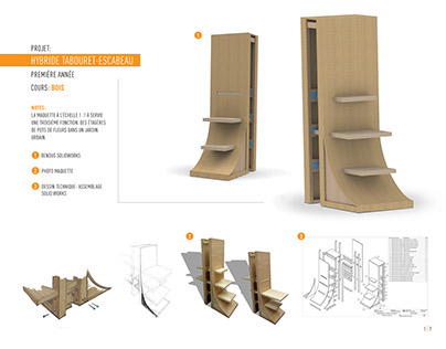 STUDENT PROJECT - CONCEPT STEP LADDER & OR SEAT
