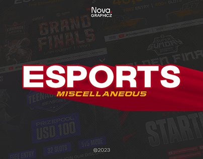 Project thumbnail - Esports Miscellaneous