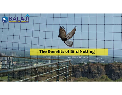 The Benefits of Bird Netting