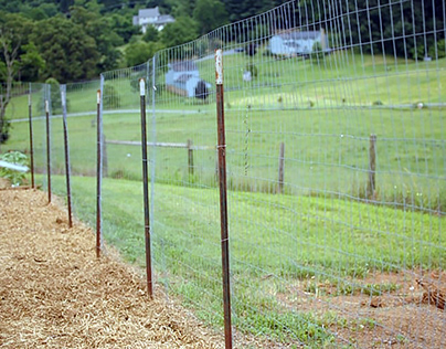Fence for yard