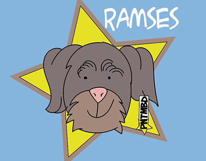 Dog Ramses, Un perro de casa