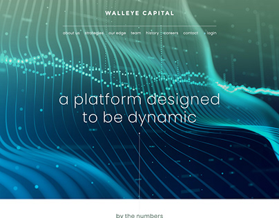 Walleye Capital Website