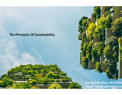 The Principles Of Sustainability