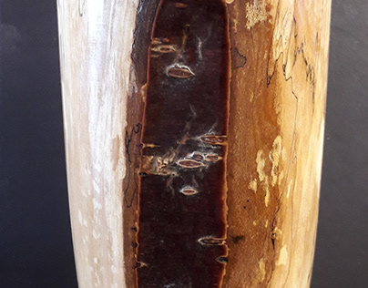 Spalted Cherry Vase with Bark Inclusion and insert.