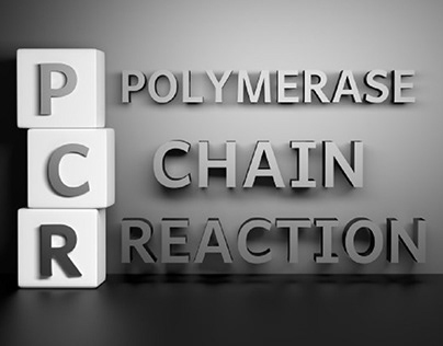 The Basics of Polymerase Chain Reaction