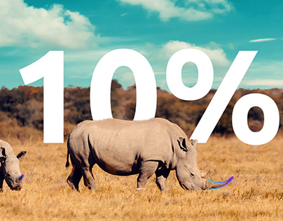 Sigfox Foundation - Save the rhinos