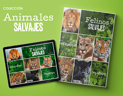 Diseño editorial e interactivo | Animales Salvajes