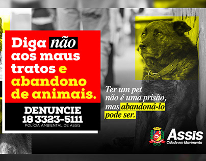 Campanha Contra o Abandono de Animais