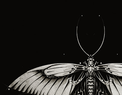 Papilio Memnon 파필리오 멤논