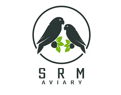 Logo For a Local Aviary