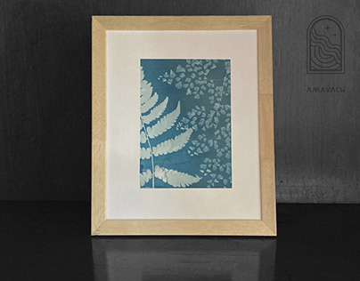 Cyanotype Prints 1st Edition