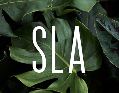 SLA - Salad bar branding