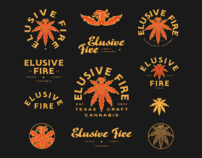 Elusive Fire Logo Design
