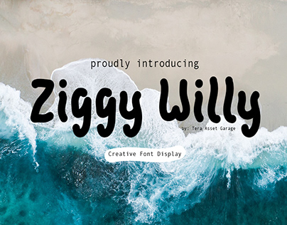 Ziggy Willy - Creative Font Display