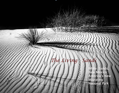 The Living Sands
