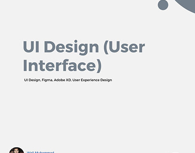 User Interface