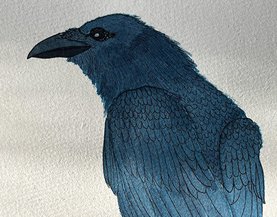 Watercolour_raven