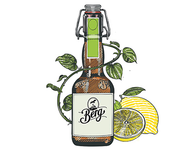 Beer bottle illustration / Berg