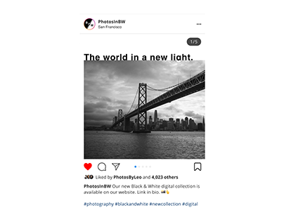 Photos in B&W Instagram Post