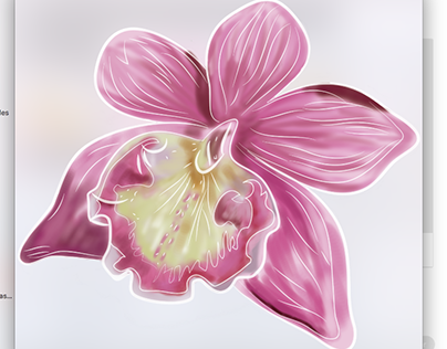 Orquídeas Extinción