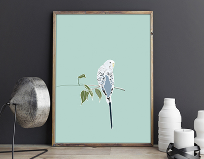 Budgie Poster