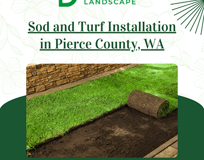 Sod And Turf Installation In Pierce County Washington