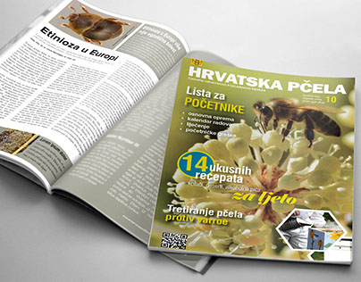 Beekeeping magazine redesign proposal