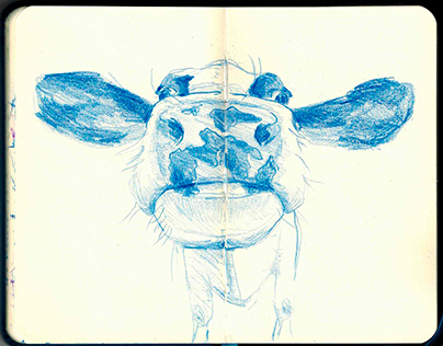 Be careful, there's a cow sniffing you | Sketchbook